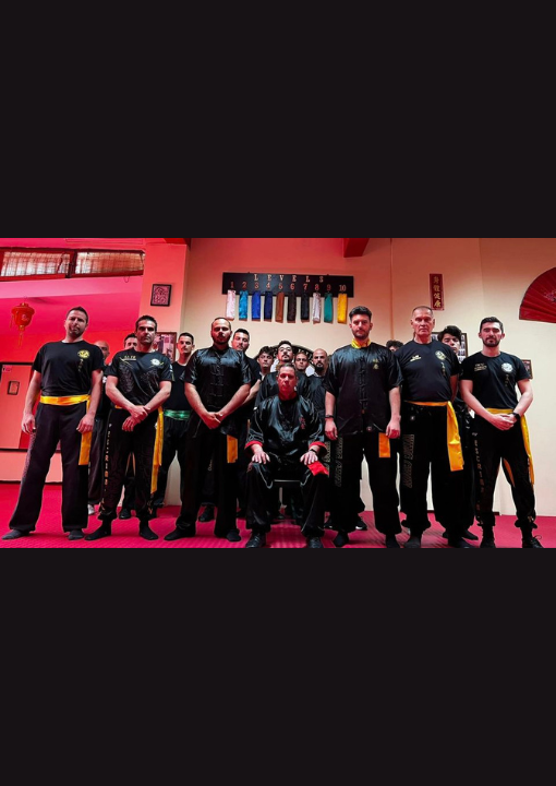 1 proto dwrean seminario golden dragons wing chun kung fu