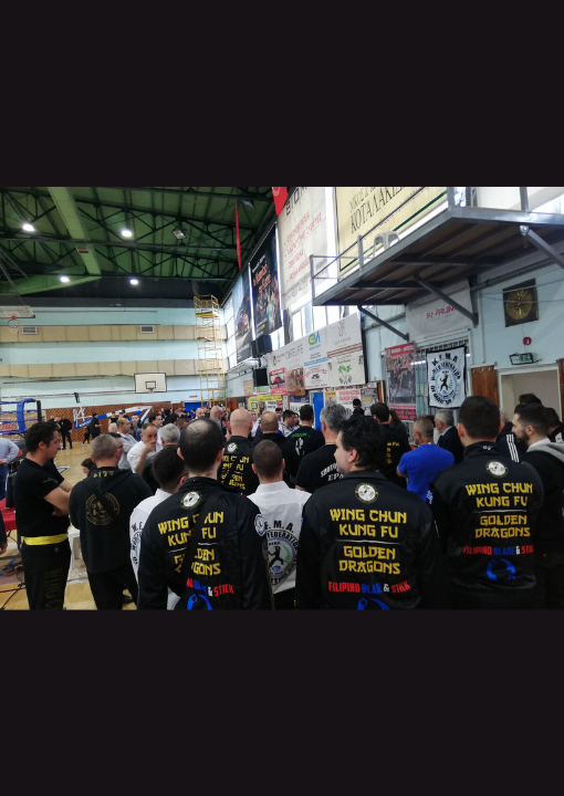 6o pagkosmio worldwide martial arts festival golden dragons wing chun kung fu