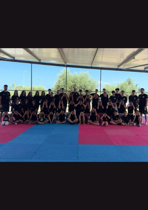 ΤΜΗΜΑ WING CHUN